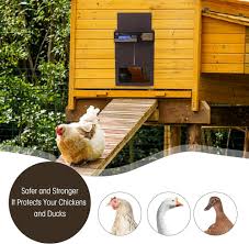 Smart Dörröppnare för Hönshus – Hållbar Konstruktion